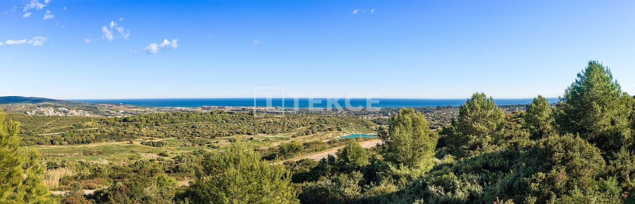 Land in San Roque, Spain, 4 448 m² - picture 3