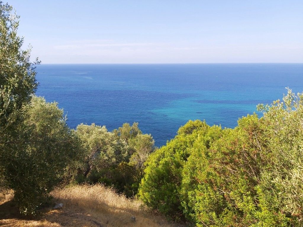 Land in Corfu, Greece, 8 600 m² - picture 1