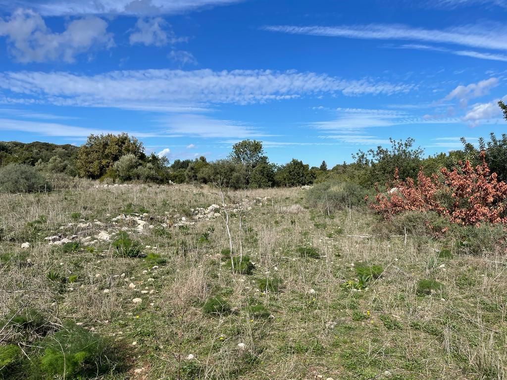 Grundstück in Chania, Griechenland, 10 000 m² - Foto 1