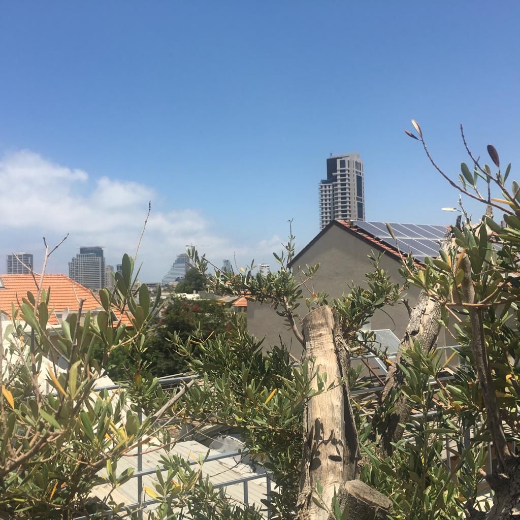 Penthouse à Tel Aviv, Israël, 200 m² - image 15