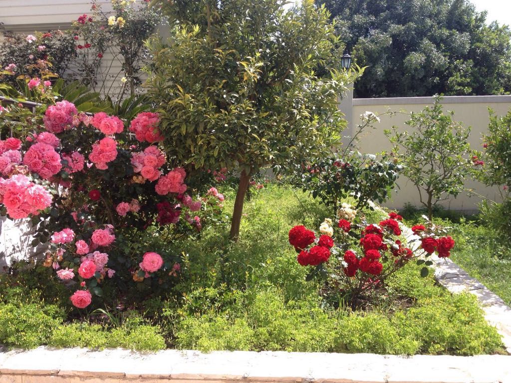 House in Utjeha, Montenegro, 330 m² - picture 3