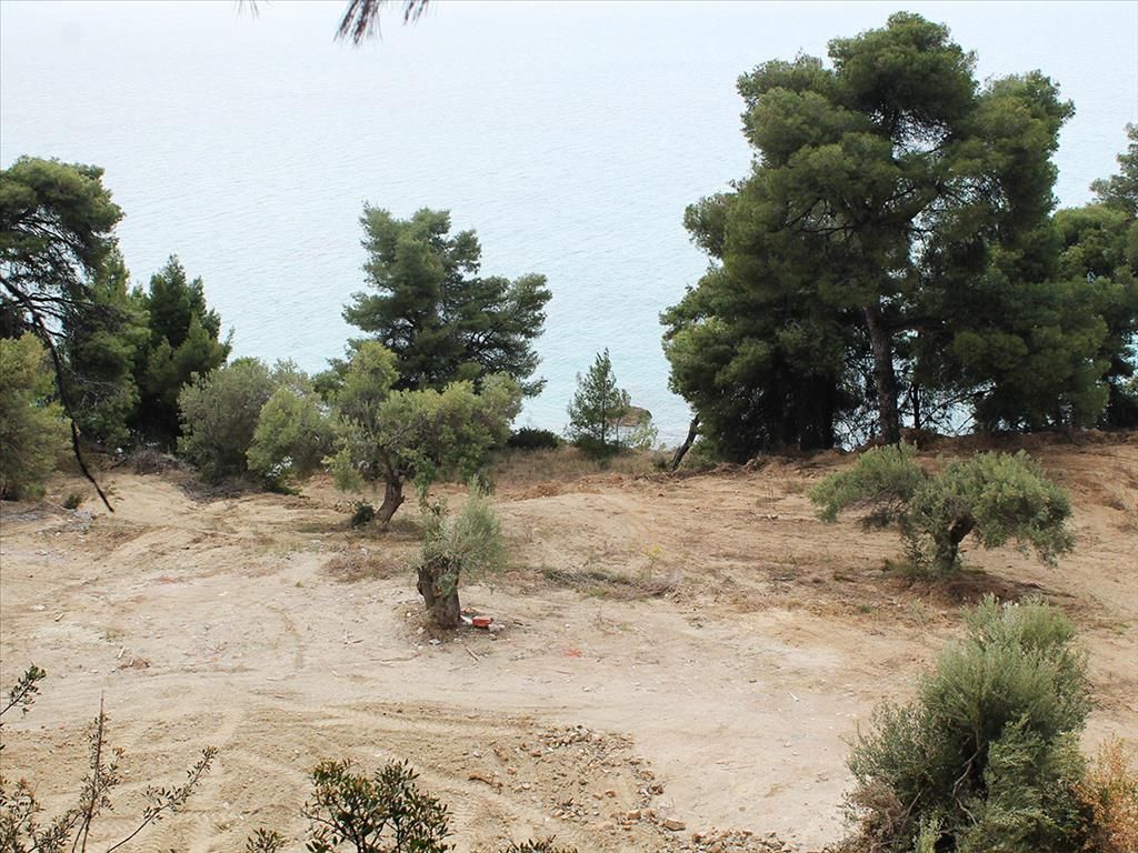 Land in Chalkidiki, Greece, 4 320 m² - picture 1