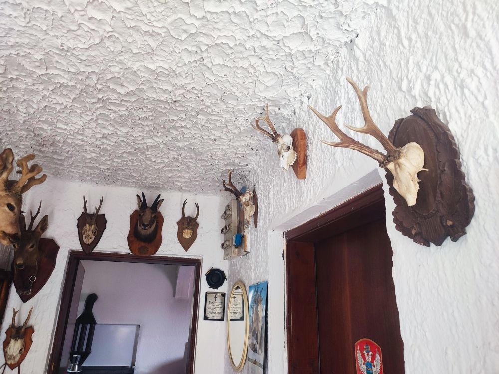 House in Mojkovac, Montenegro, 130 m² - picture 12