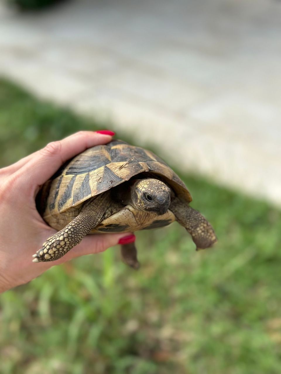 Appartamento a Kotor, Montenegro, 83 m² - foto 8