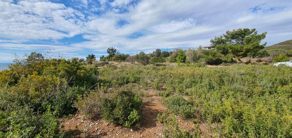 Terrain en Sithonie, Grèce, 4 913 m² - image 7