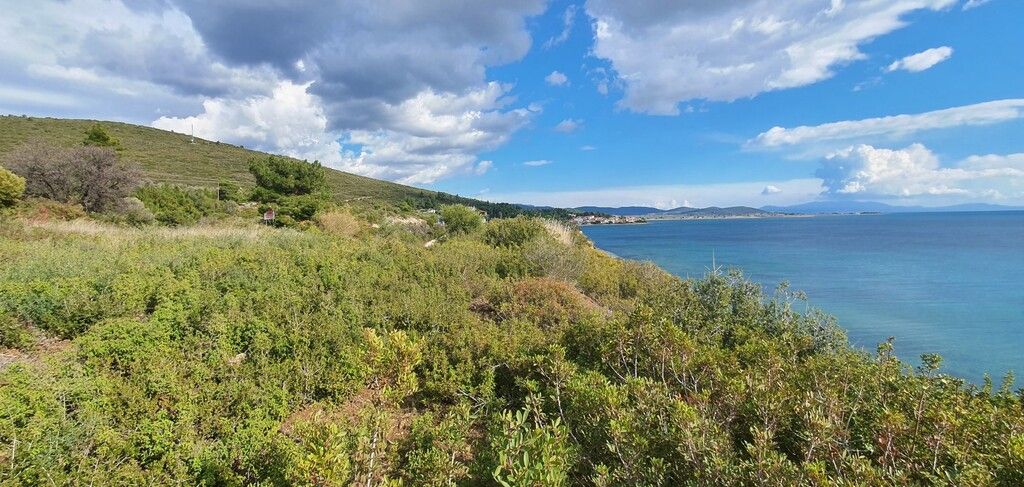 Terrain en Sithonie, Grèce, 4 913 m² - image 8