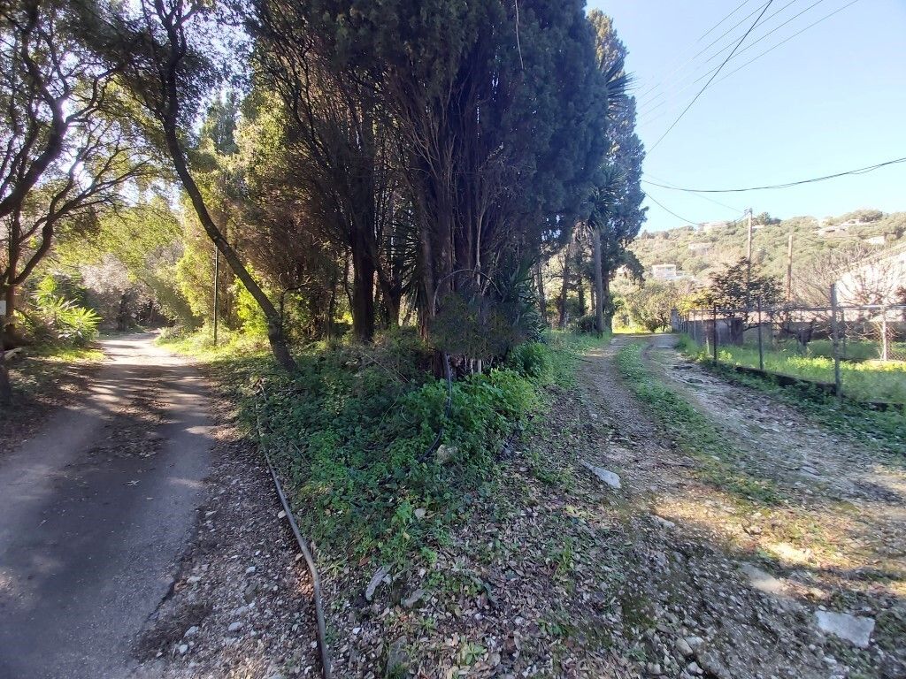 Terrain à Corfou, Grèce, 2 770 m² - image 1