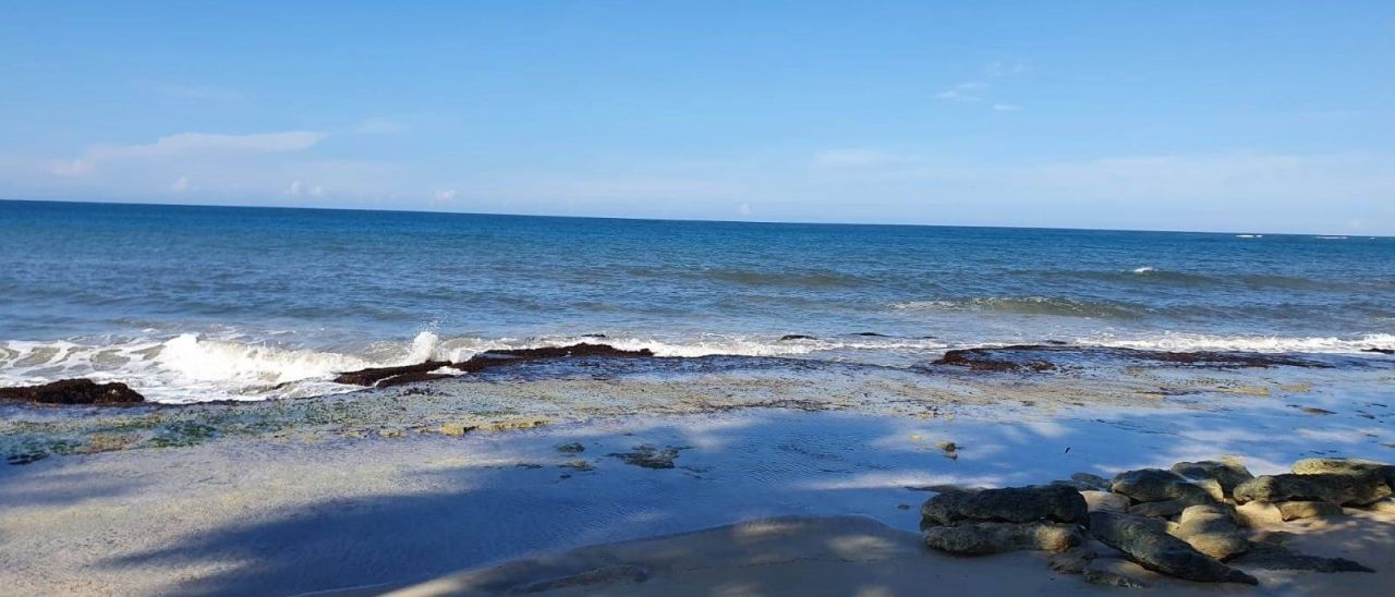 Land in Punta Cana, Dominican Republic, 3 999 m² - picture 6