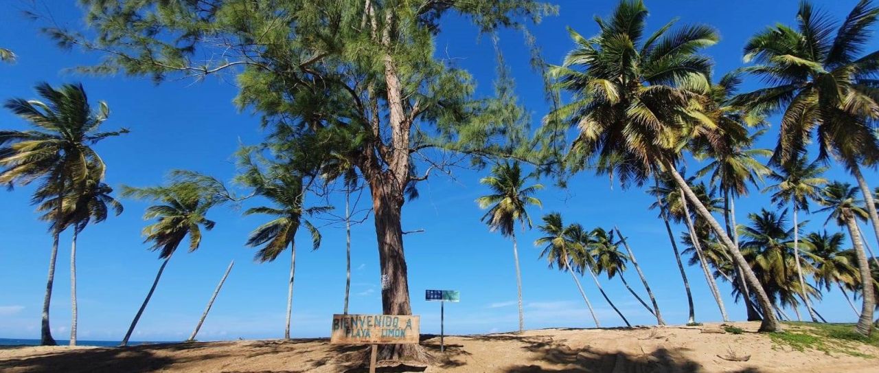 Land in Punta Cana, Dominican Republic, 3 999 m² - picture 8