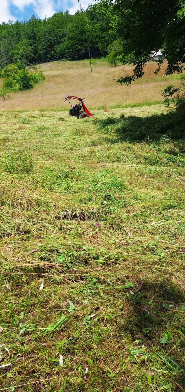 Land in Mojkovac, Montenegro, 3.1 ha - picture 7