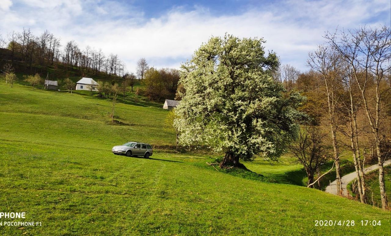 Land in Mojkovac, Montenegro, 3.1 ha - picture 10