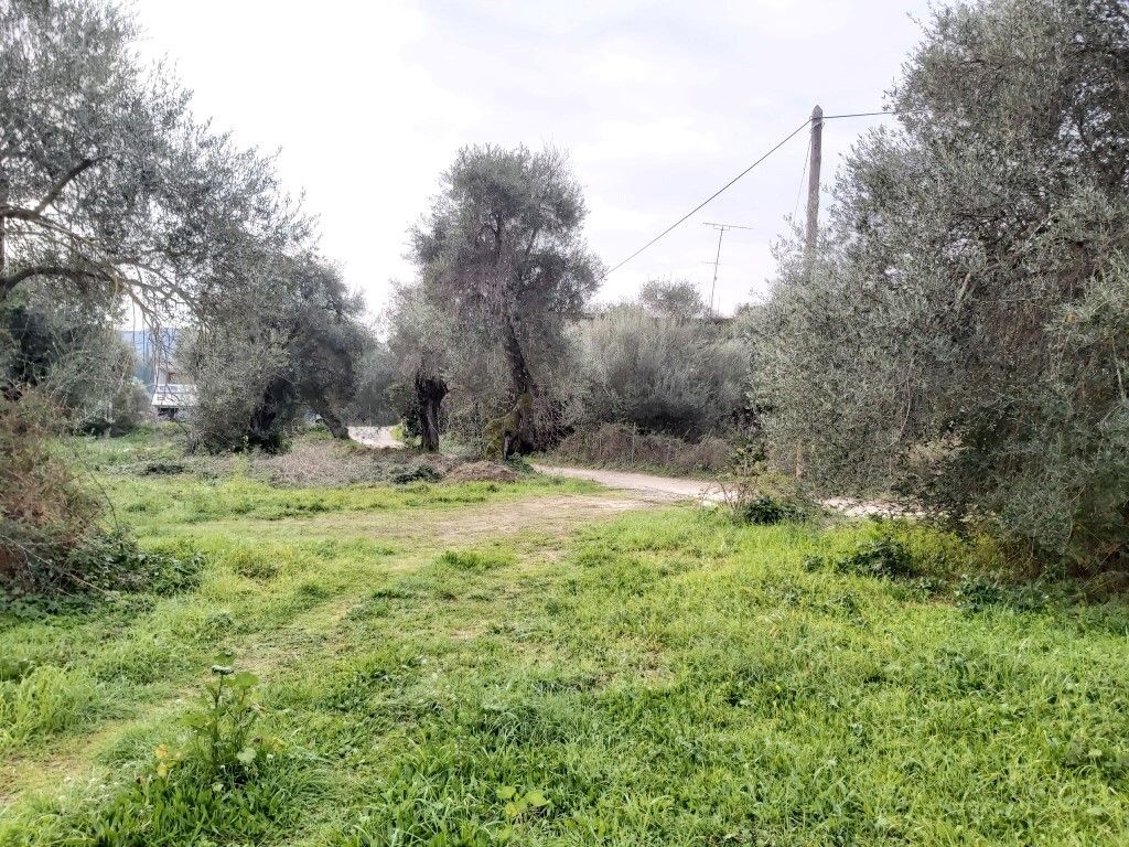 Terreno a Corfù, Grecia, 2 307 m2 - foto 7