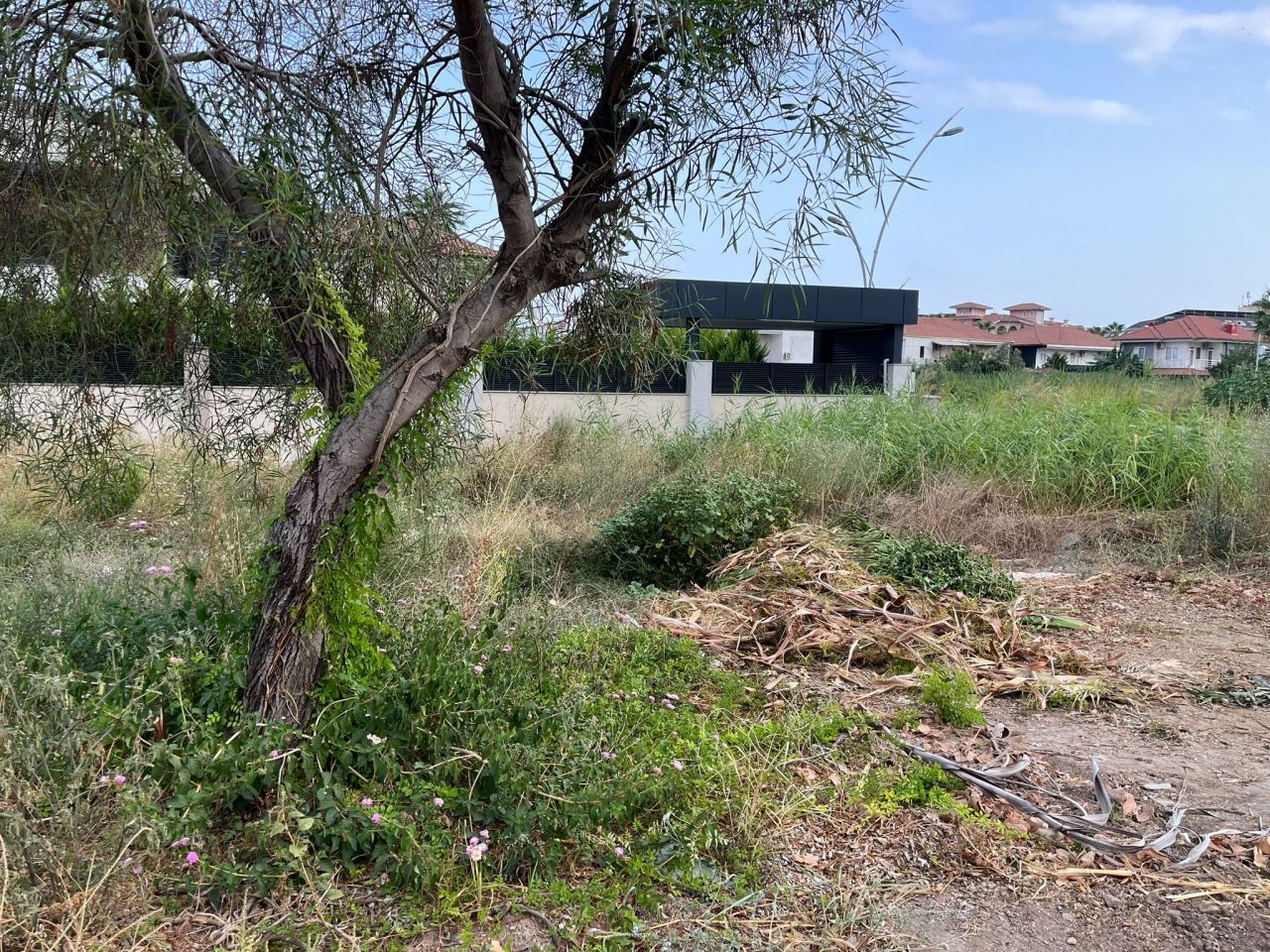 Land in Camyuva, Turkey, 600 m² - picture 2