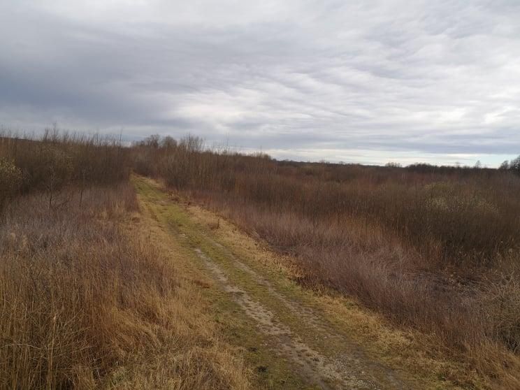 Land Zalakomár, Hungary, 291 645 m² - picture 1