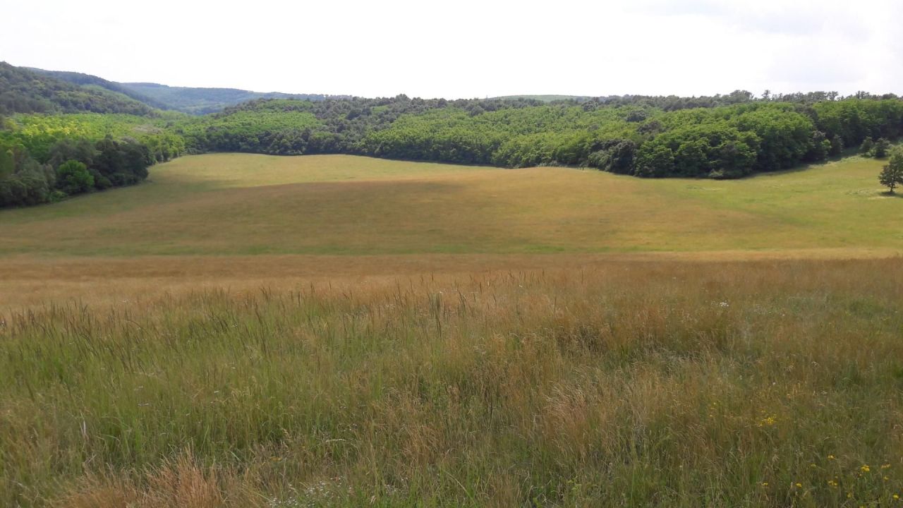 Farm Iliny, Hungary, 330 000 m² - picture 1