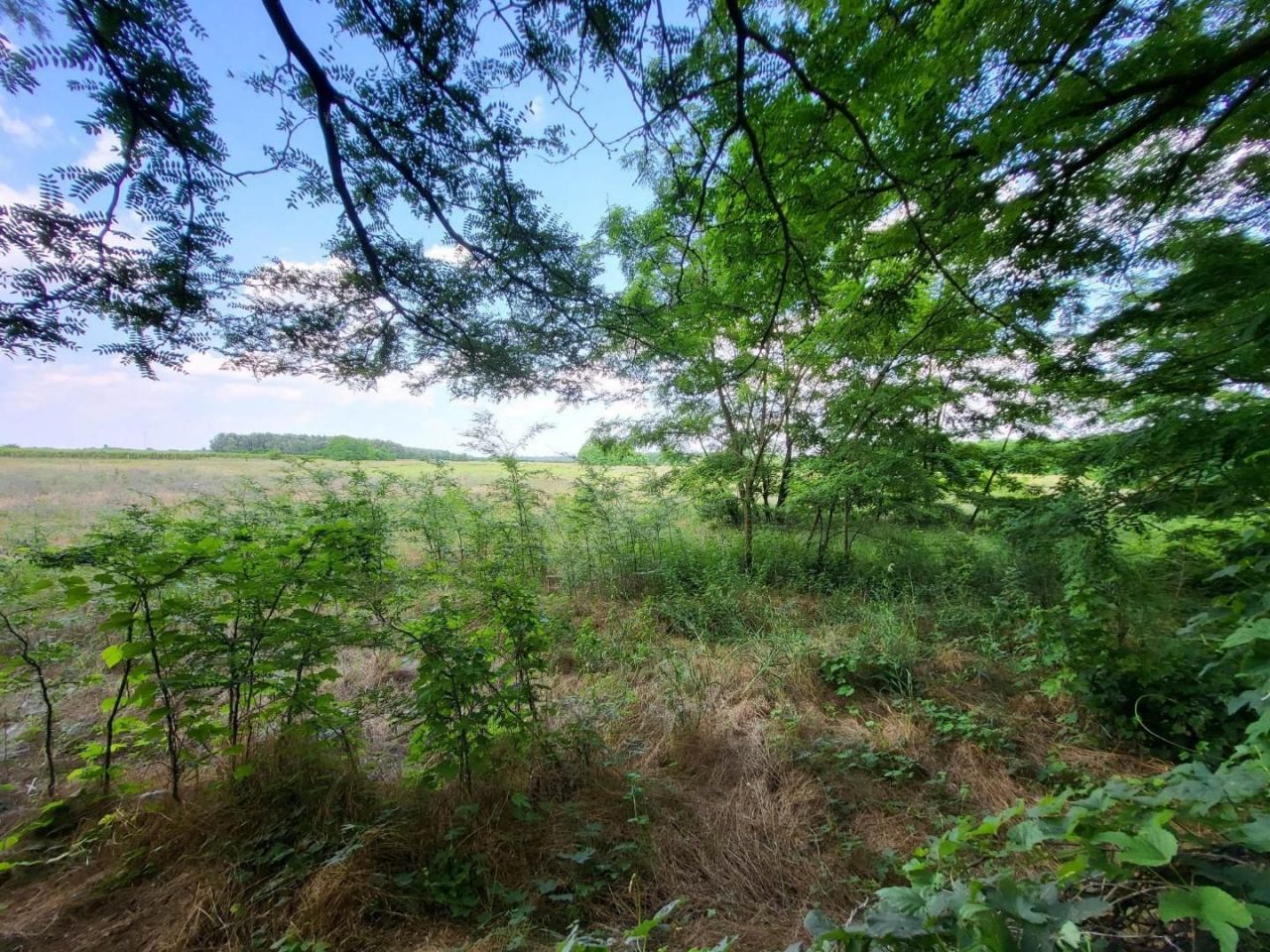 Land Örkény, Hungary, 480 000 m² - picture 4