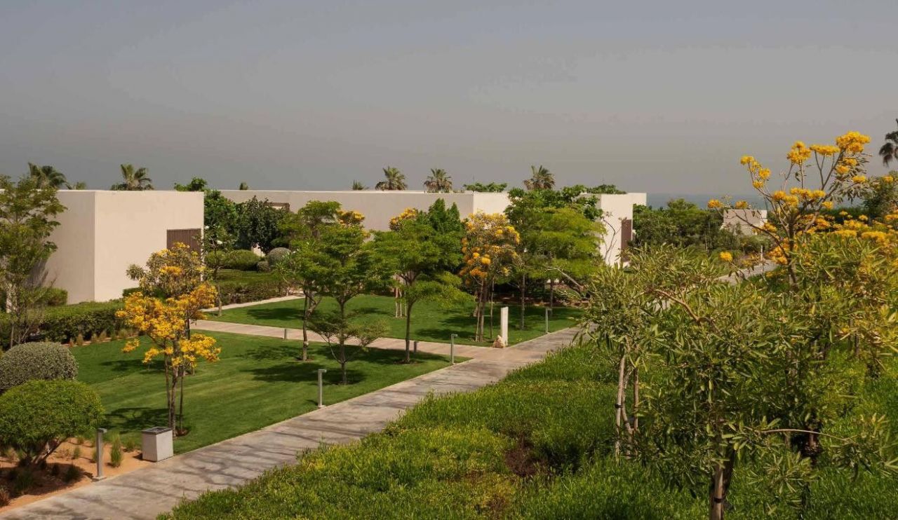 Flat Adschman, UAE, 65.5 m² - picture 5