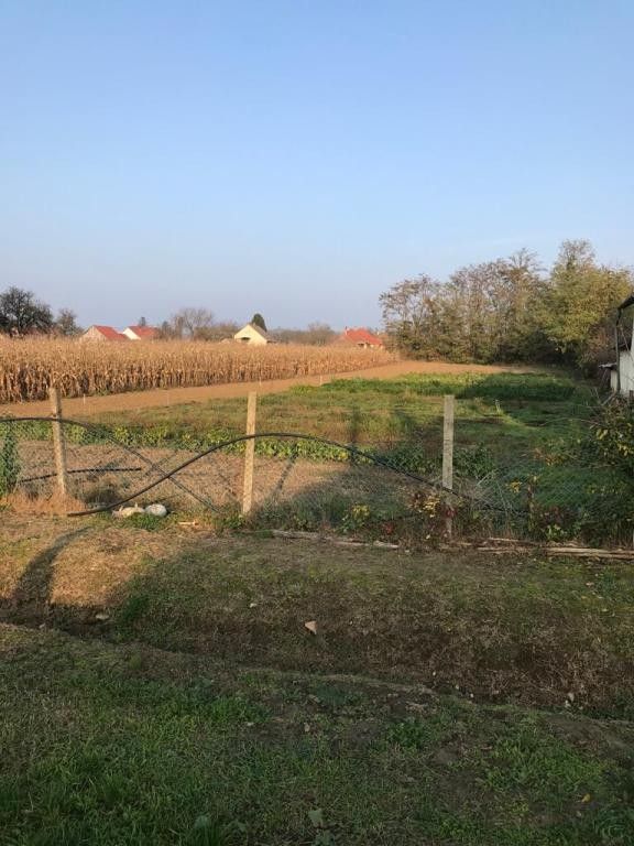 Grundstück Buzsák, Ungarn, 2 000 m² - Foto 6