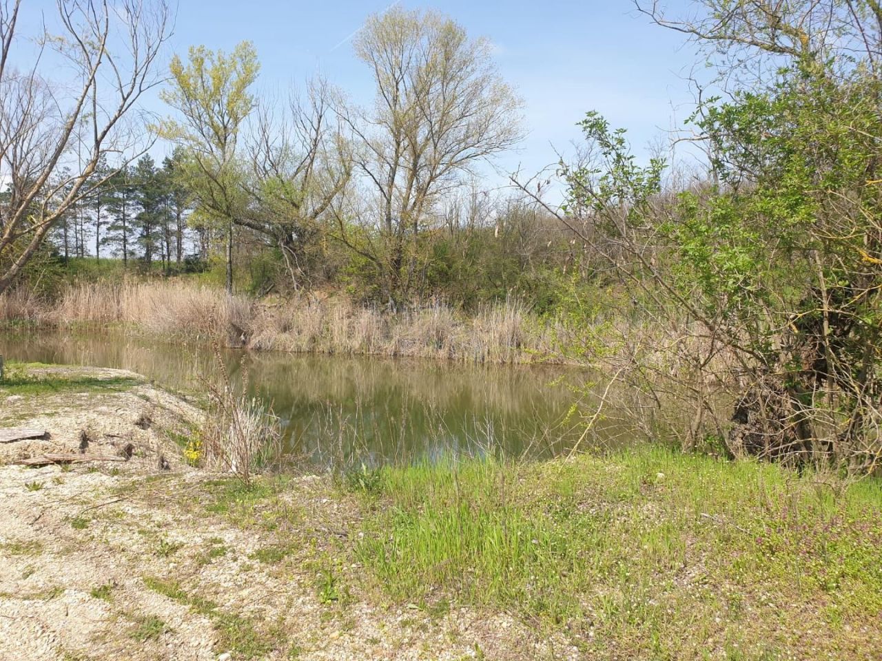 Terreno Edve, Hungría, 13 593 m² - imagen 6