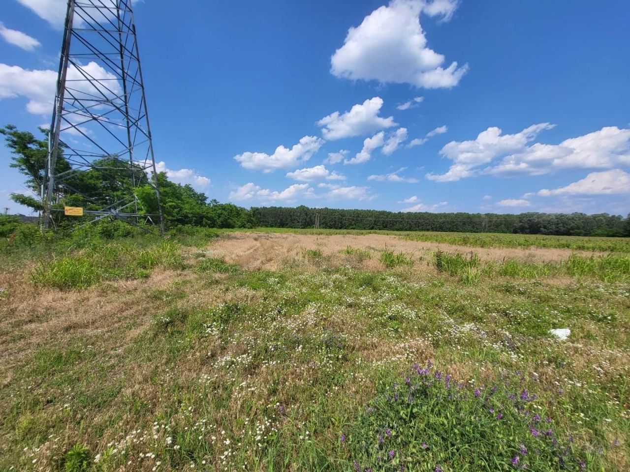 Land Örkény, Hungary, 480 000 m² - picture 7