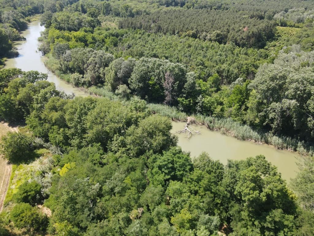 Castello Feketeerdő, Ungheria - foto 8
