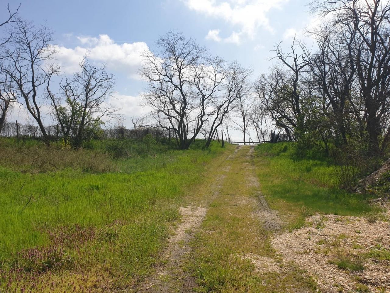 Terreno Edve, Hungría, 13 593 m² - imagen 11