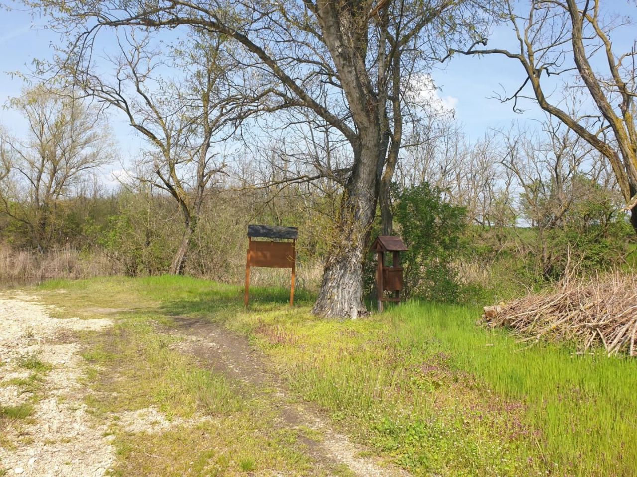 Terreno Edve, Hungría, 13 593 m² - imagen 12