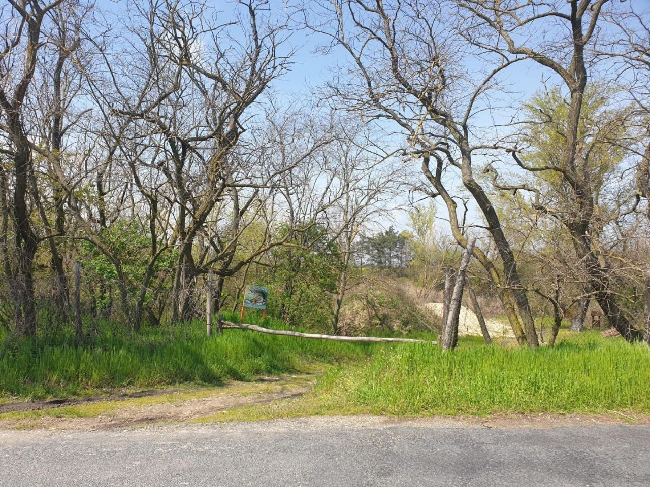 Terreno Edve, Hungría, 13 593 m² - imagen 13