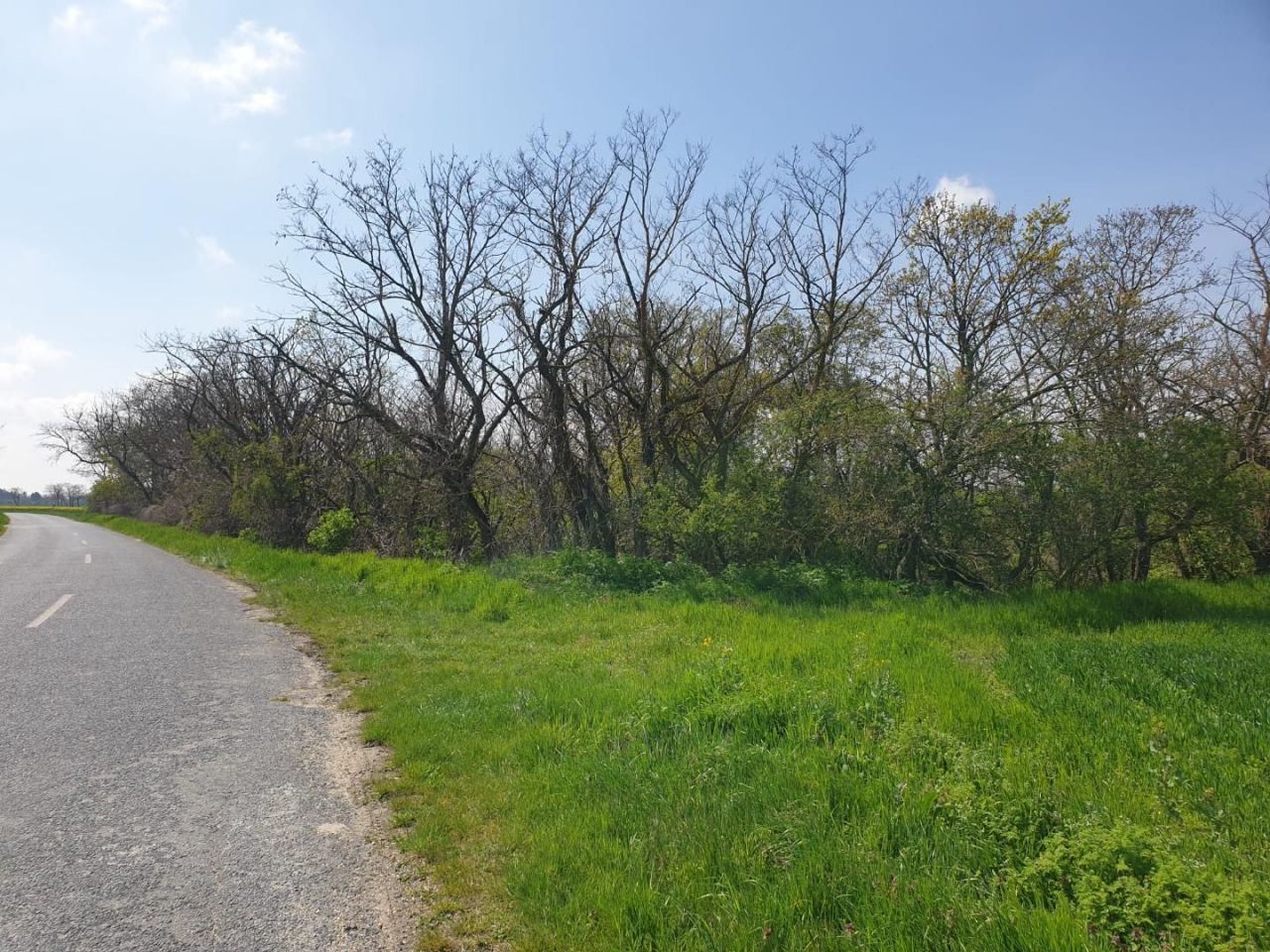 Terreno Edve, Hungría, 13 593 m² - imagen 15