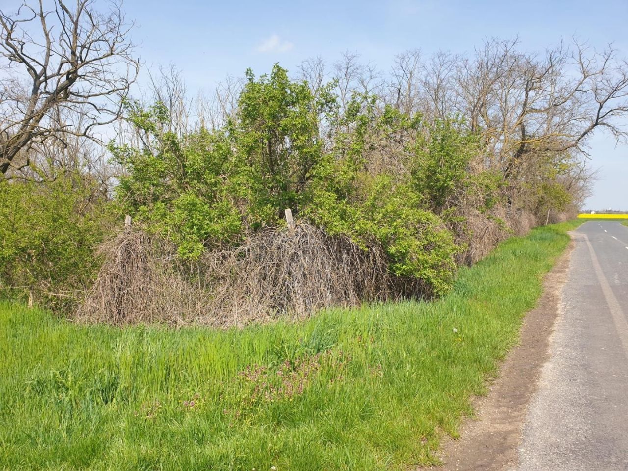 Terreno Edve, Hungría, 13 593 m² - imagen 17