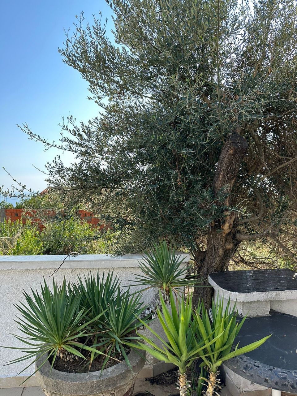 Villa in Budva, Montenegro, 170 m² - picture 4