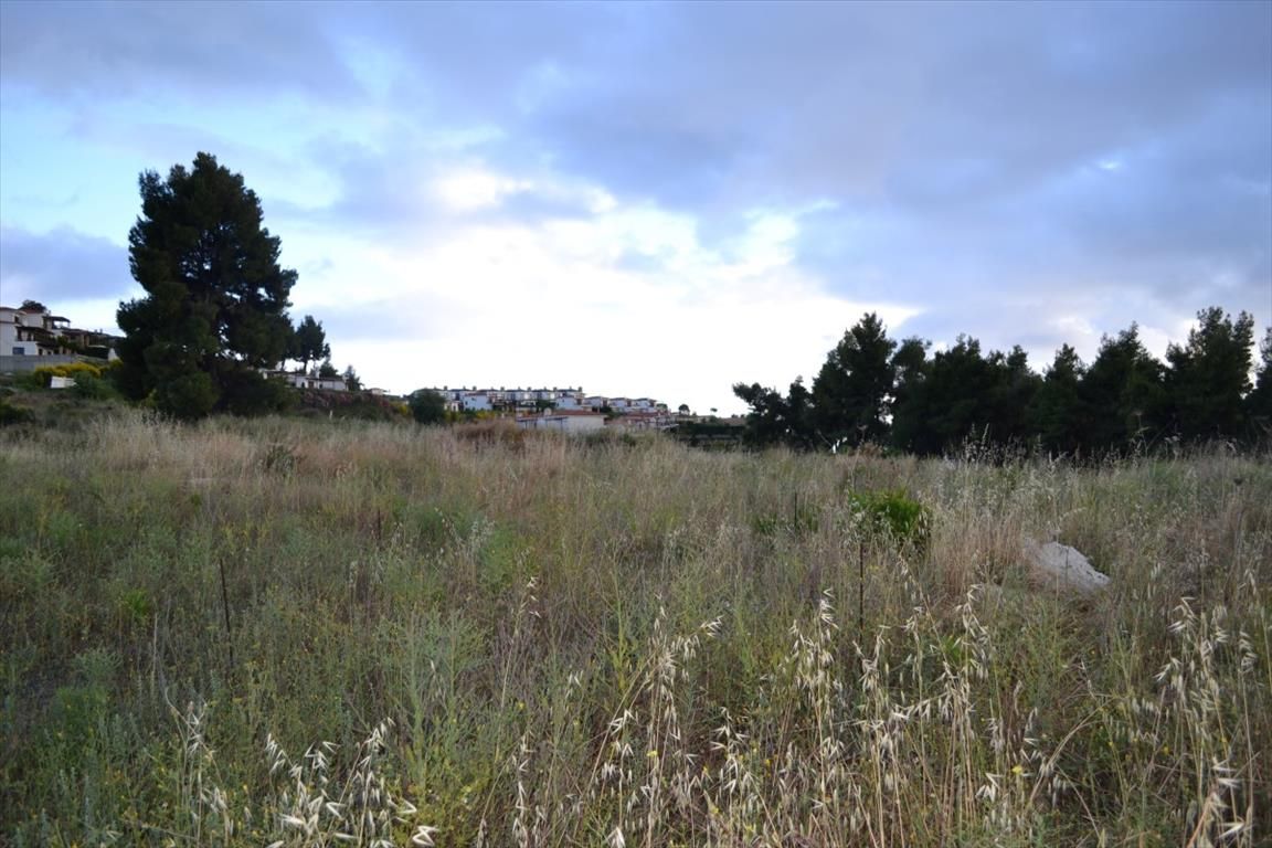 Terreno en Kassandra, Grecia, 5 600 m² - imagen 2
