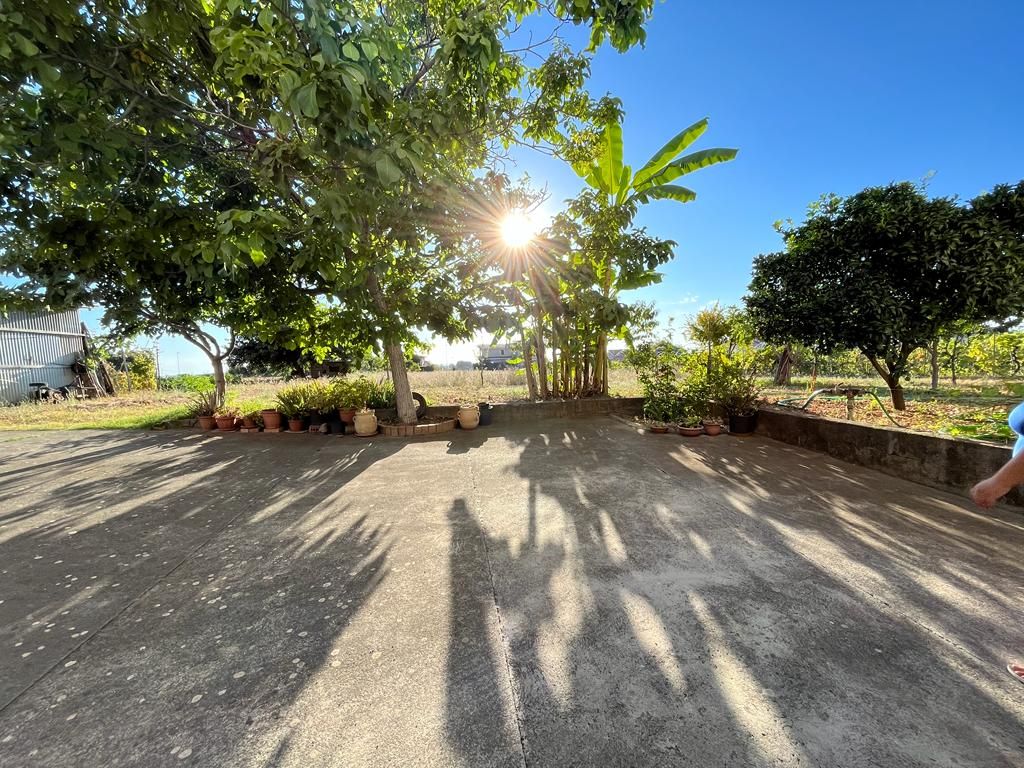 House in Santa Maria del Cedro, Italy, 390 m² - picture 14