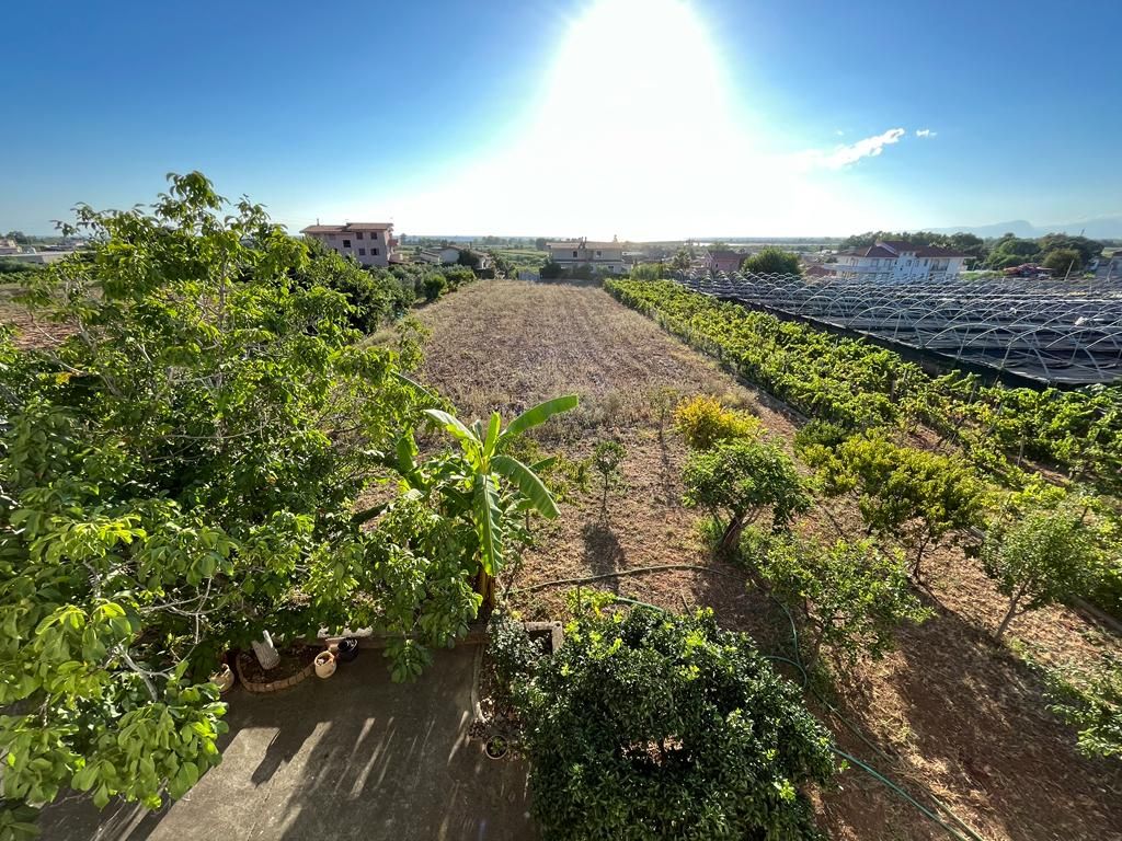 House in Santa Maria del Cedro, Italy, 390 m² - picture 18