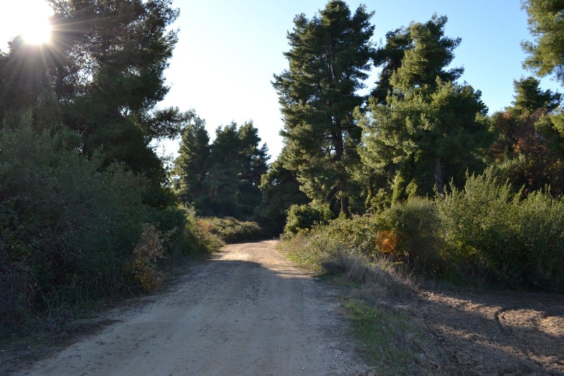 Terrain à Kassandra, Grèce, 4 319 m² - image 2