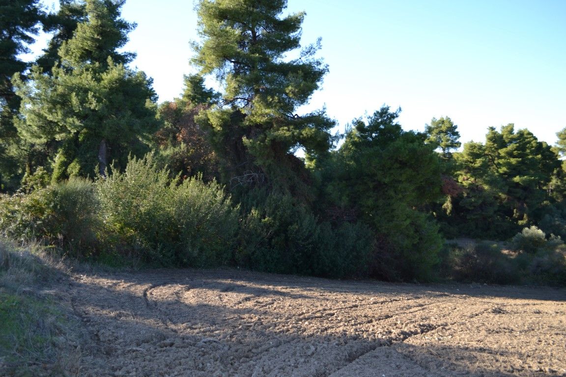 Terrain à Kassandra, Grèce, 4 319 m² - image 3