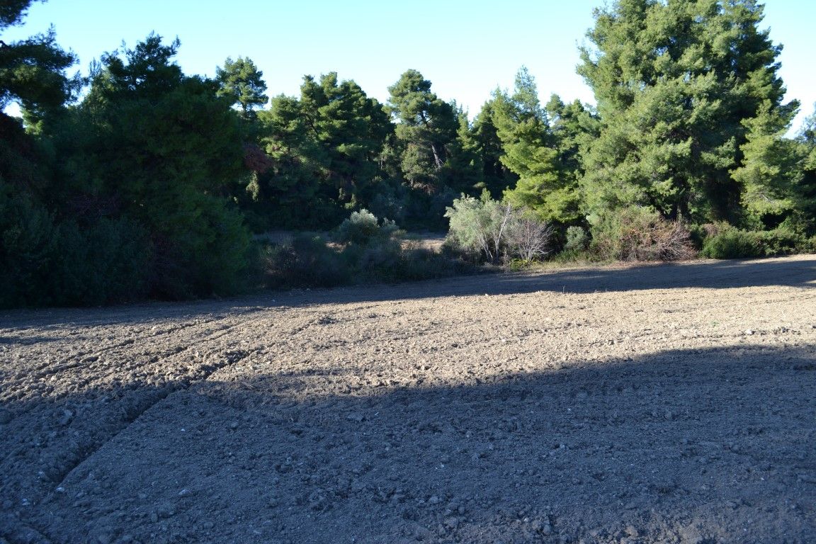 Terrain à Kassandra, Grèce, 4 319 m² - image 4