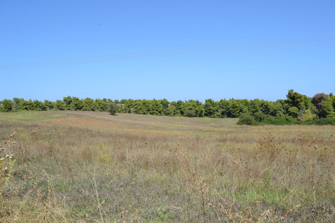 Land in Kassandra, Greece, 4 380 m² - picture 6