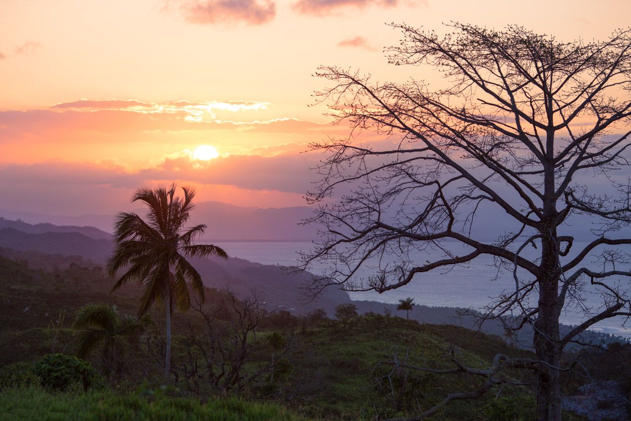 Land in Samana, Dominican Republic, 15.3 ares - picture 5