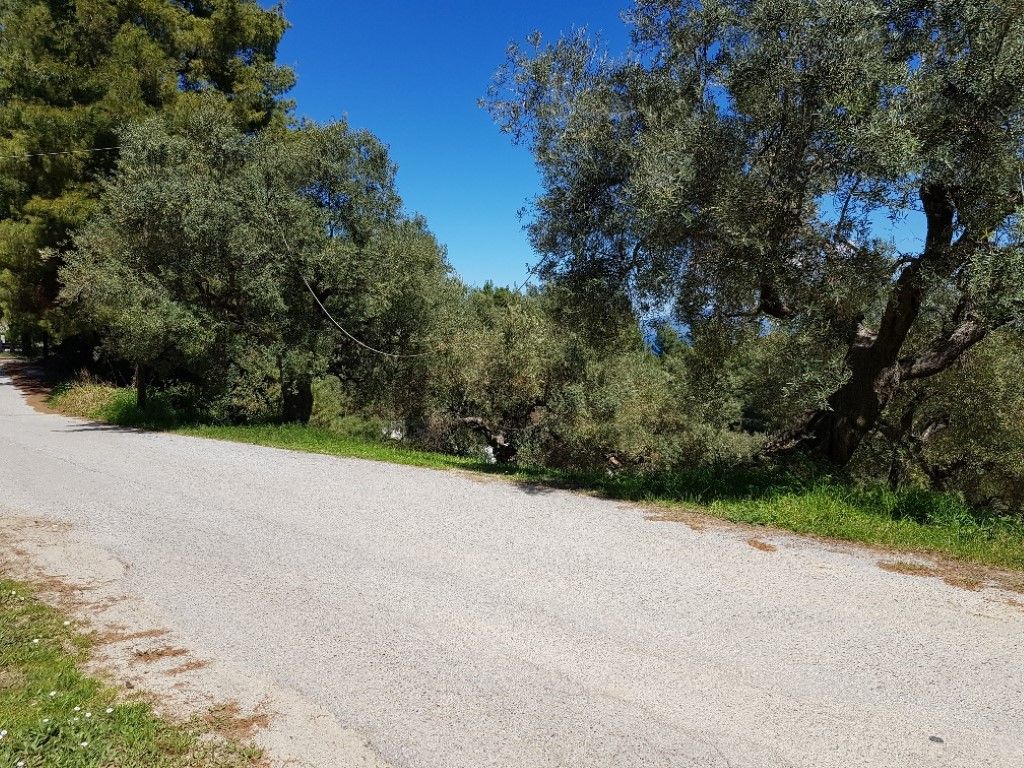 Terreno a Kassandra, Grecia, 2 002 m2 - foto 3