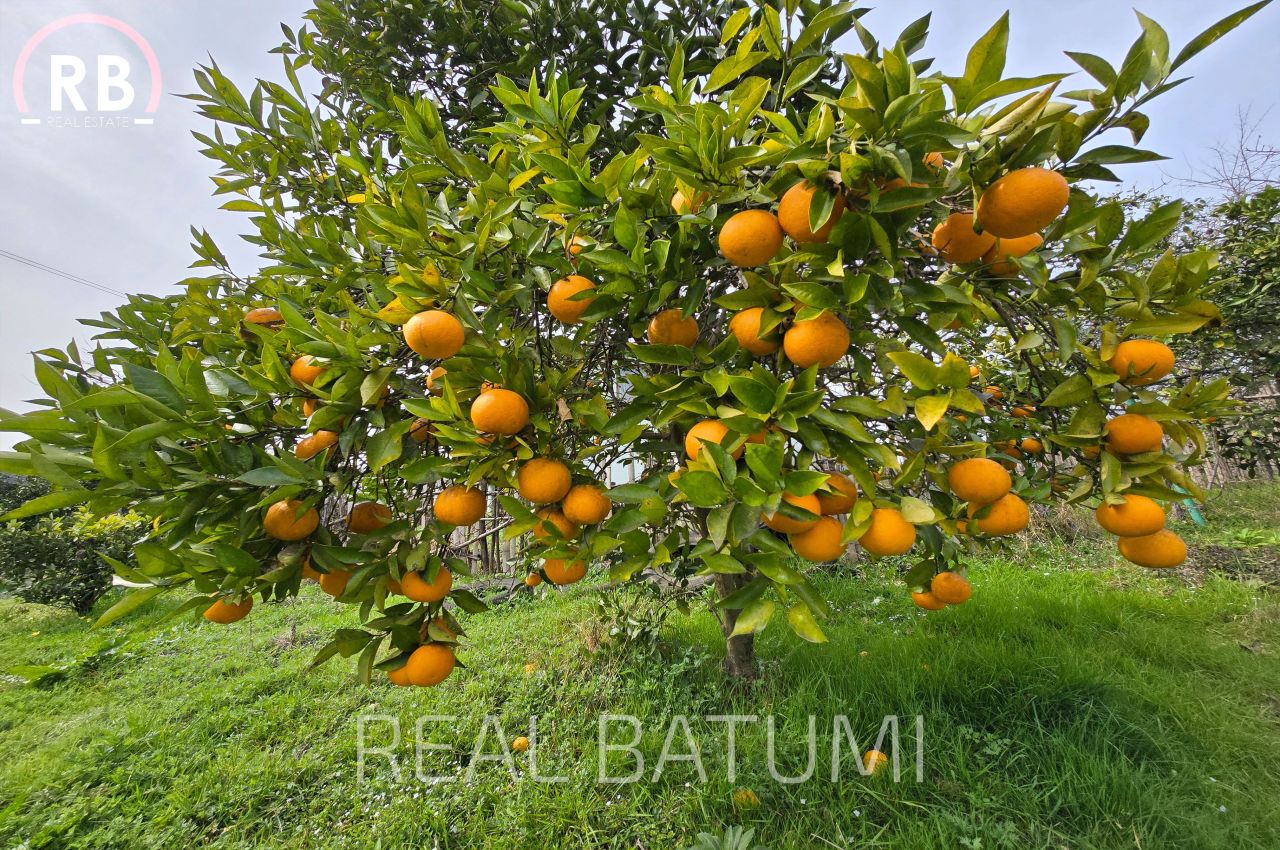 Terreno a Batumi, Georgia, 7 522 m2 - foto 9