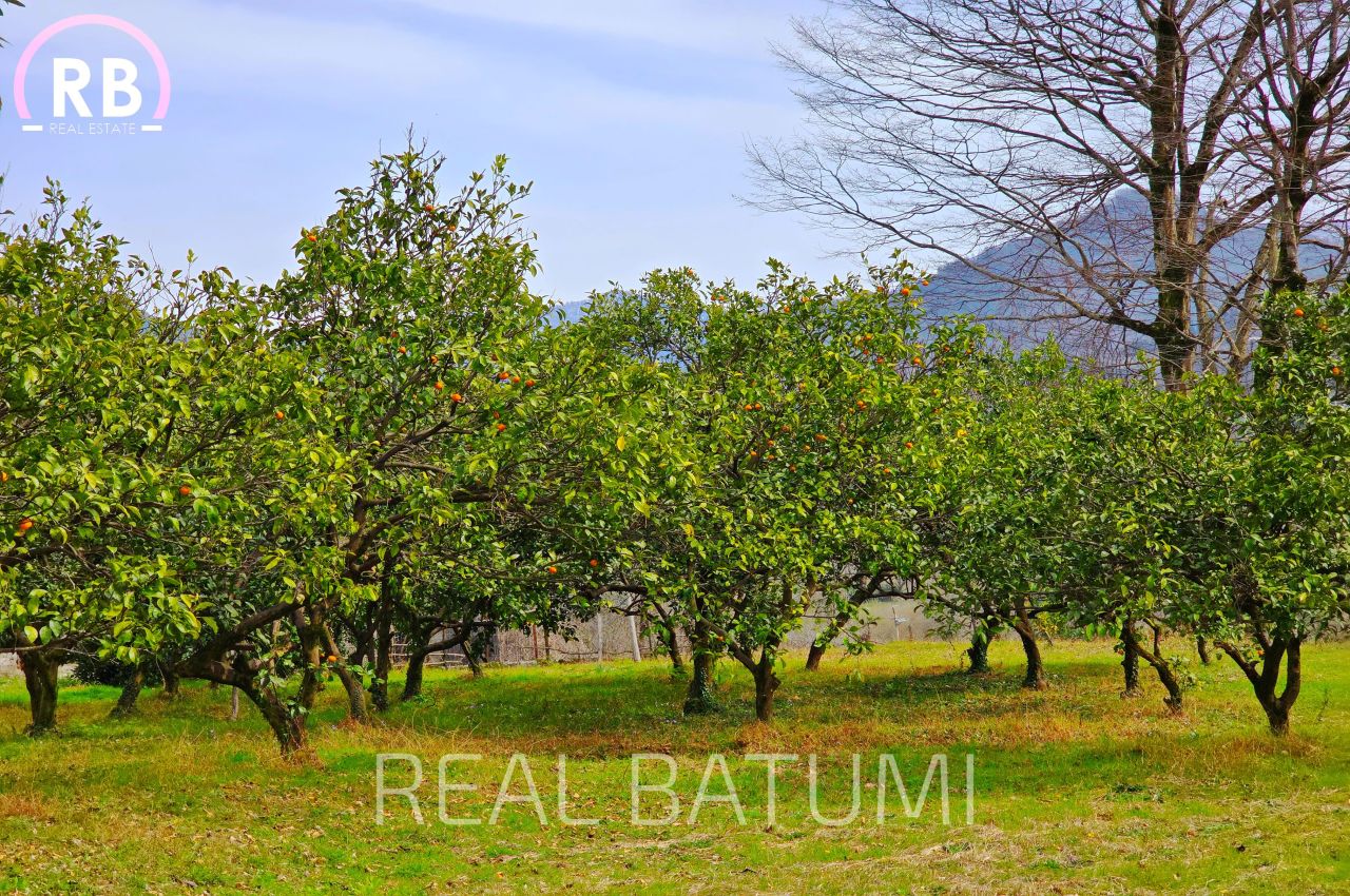 Terreno a Batumi, Georgia, 7 522 m2 - foto 10