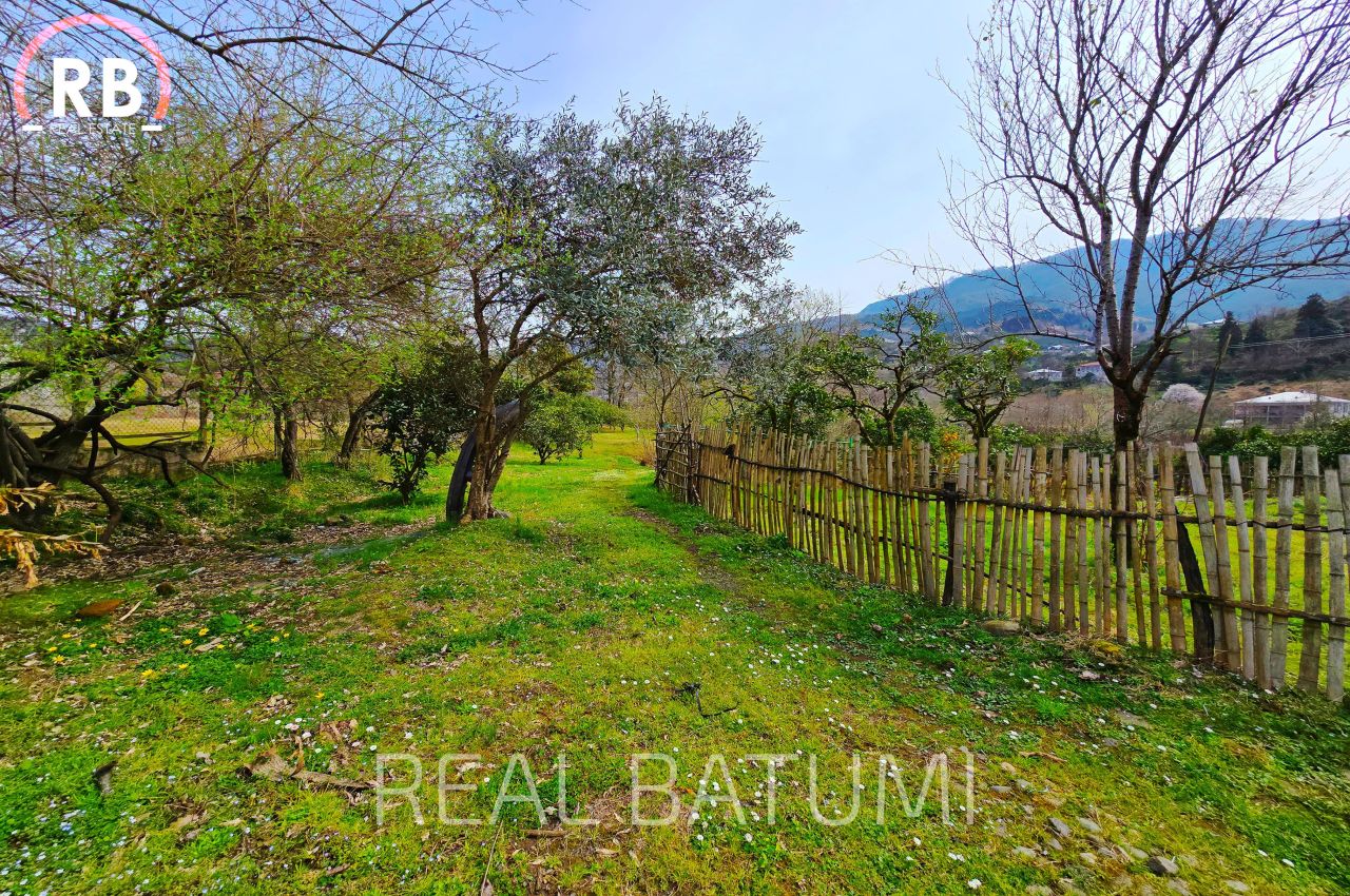 Terreno a Batumi, Georgia, 7 522 m2 - foto 7
