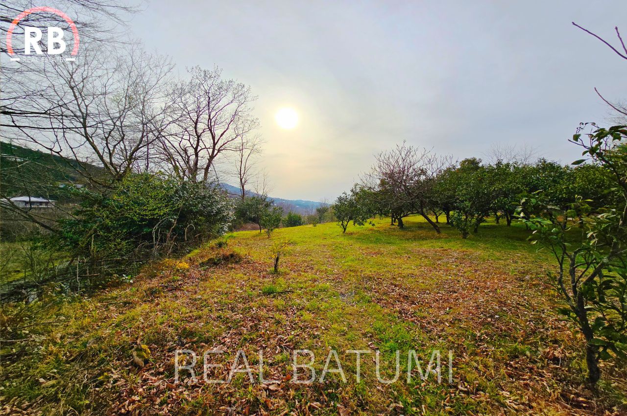Terreno a Batumi, Georgia, 7 522 m2 - foto 13