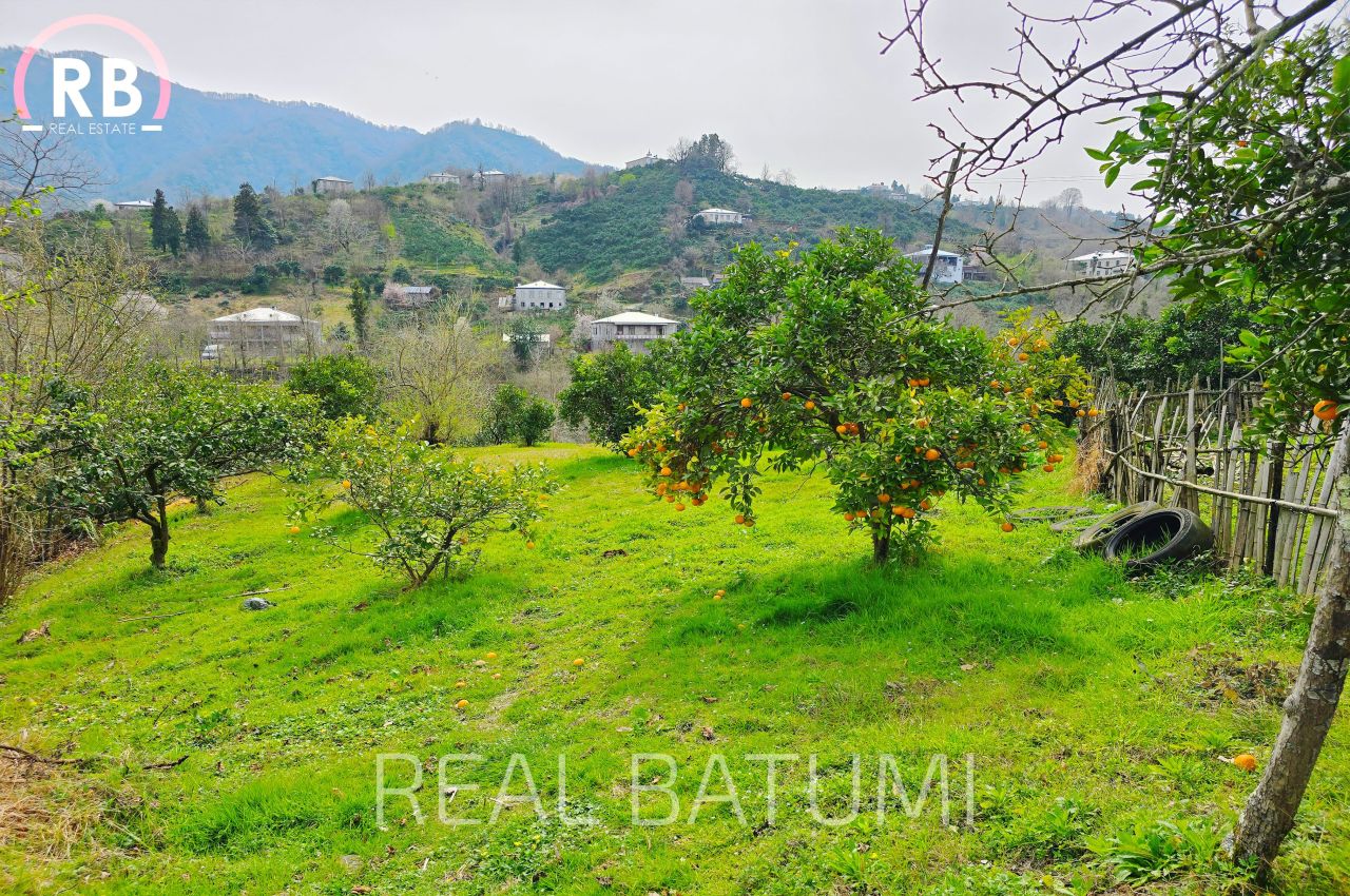 Terreno a Batumi, Georgia, 7 522 m2 - foto 8