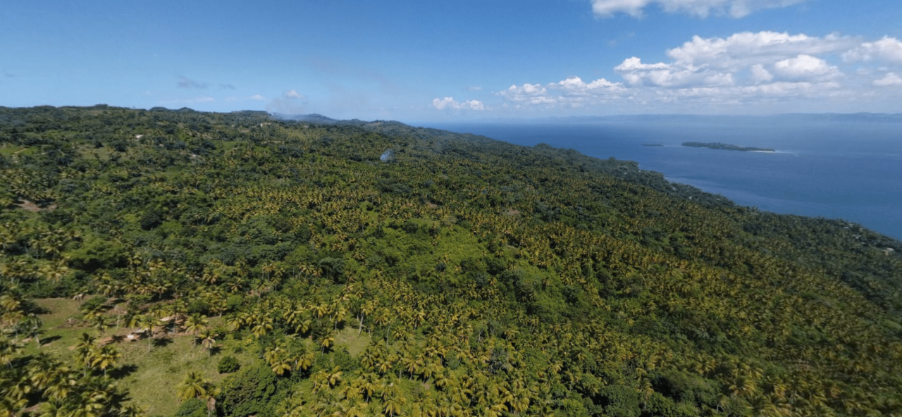 Grundstück in Samaná, Dominikanische Republik, 577 m² - Foto 2