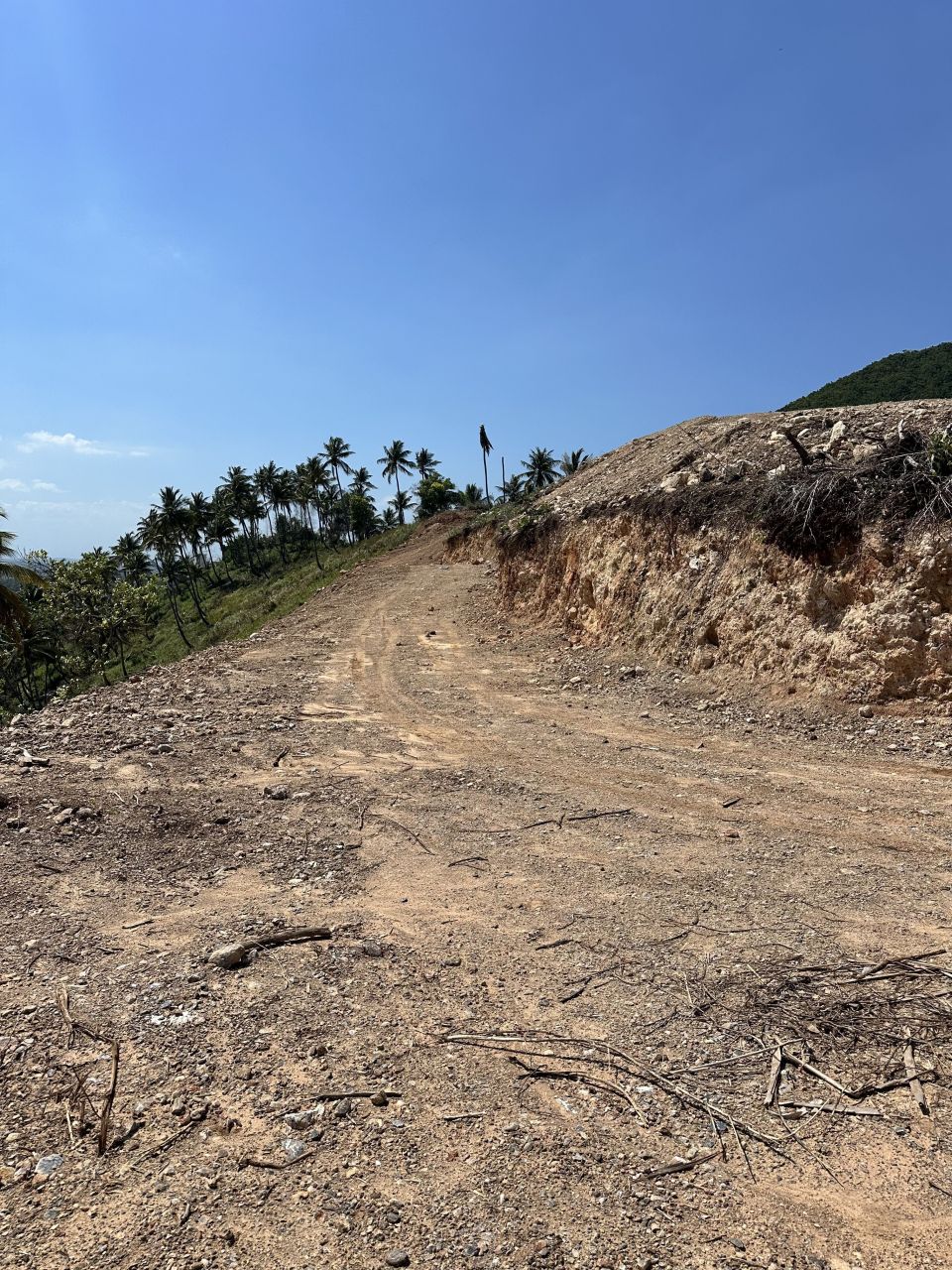 Grundstück in Samaná, Dominikanische Republik, 500 m² - Foto 3