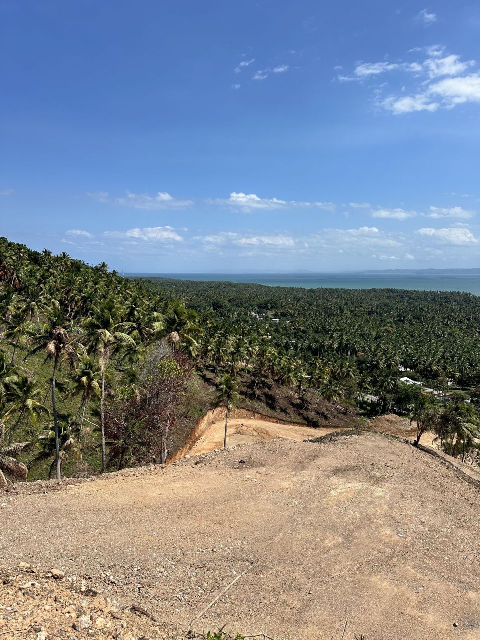 Grundstück in Samaná, Dominikanische Republik, 500 m² - Foto 4