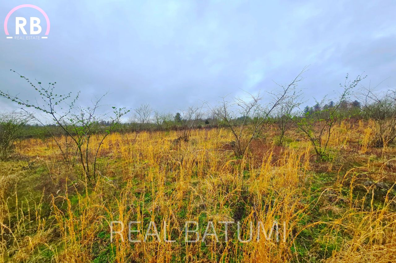 Land in Batumi, Georgia, 4 820 m² - picture 2