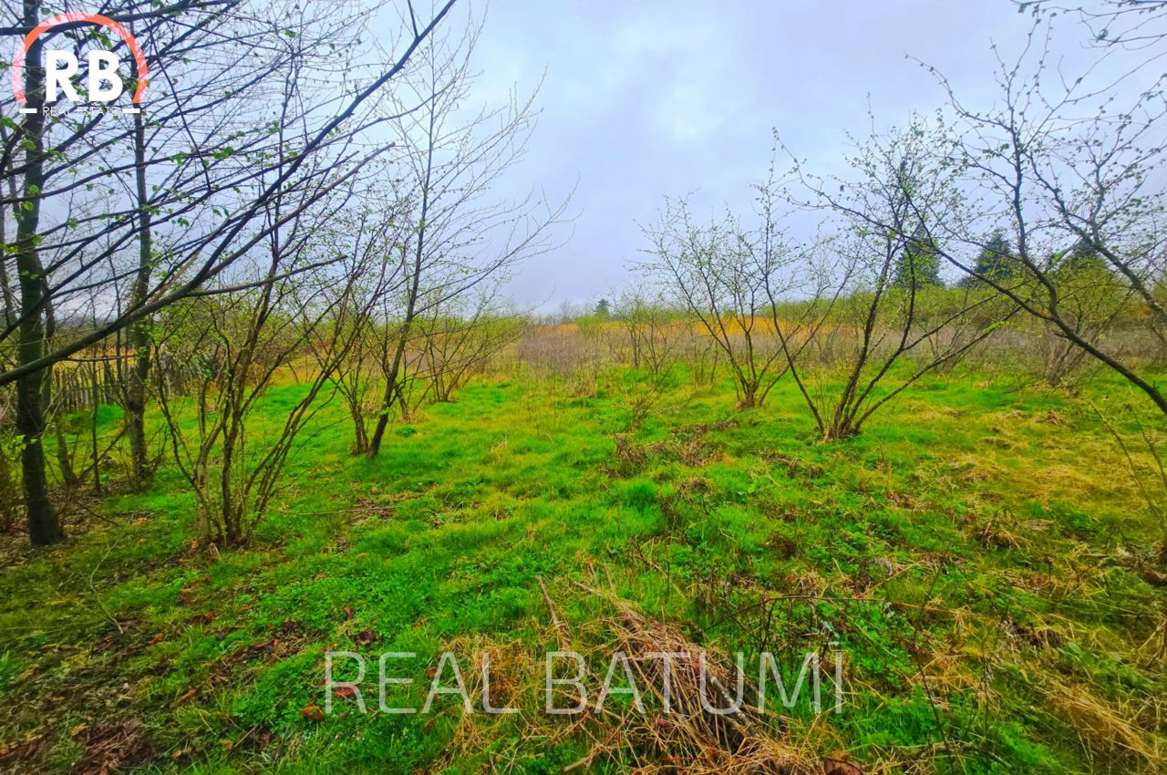 Land in Batumi, Georgia, 4 820 m² - picture 3